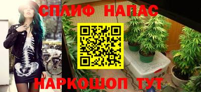 PSILOCYBIN Ликино-Дулёво