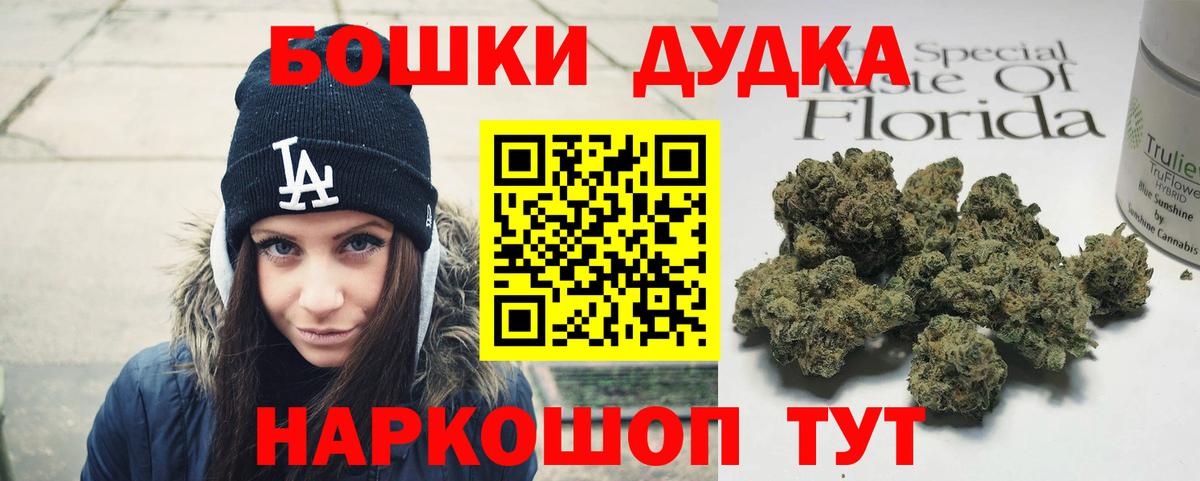 Бошки Шишки план Грозный